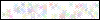Auth Image
